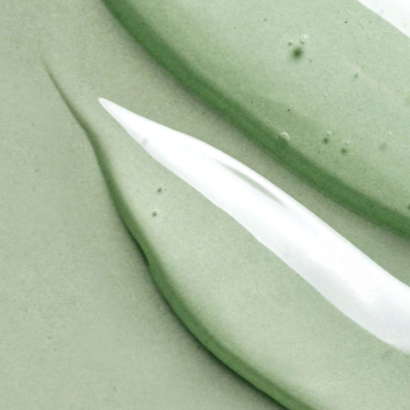 Beneficios del Aloe vera en tu piel